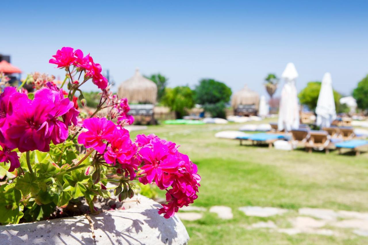Smart Luxury & 4* Cesme